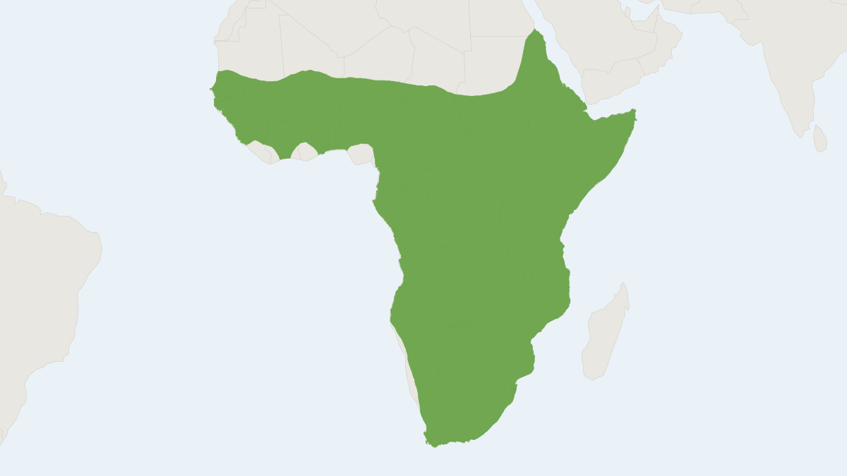 Range map of the Aardvark (Orycteropus afer) covering Botswana, Ethiopia and Kenya