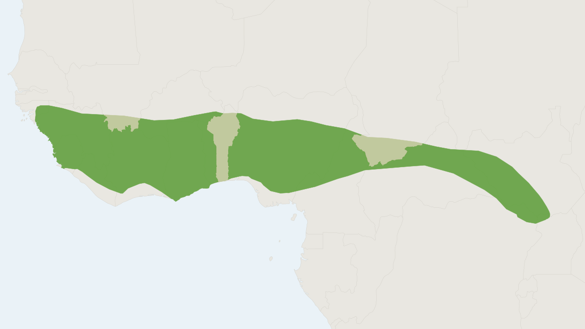 Range map of the Aba Roundleaf Bat (Hipposideros abae)