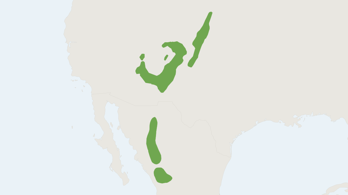 Range map of the Abert's Squirrel (Sciurus aberti)