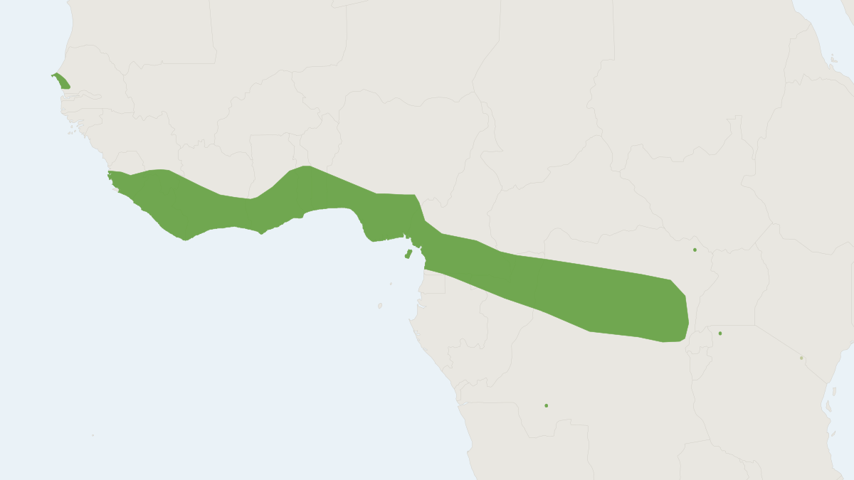 Range map of the Abo Bat (Glauconycteris poensis)