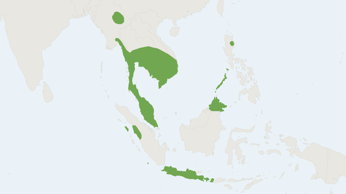 Range map of the Accuminate Horseshoe Bat (Rhinolophus acuminatus)