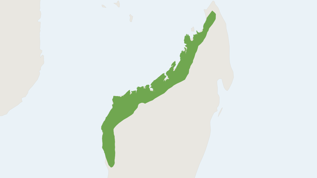 Range map of the Aellen's Long-fingered Bat (Miniopterus aelleni)