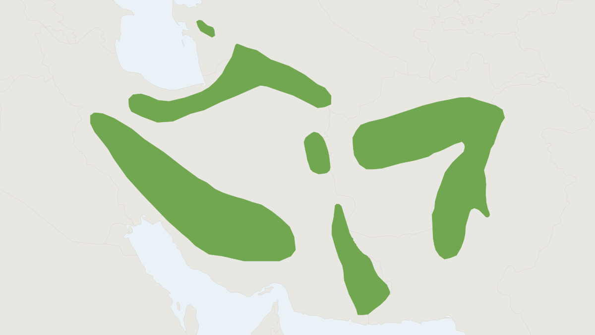 Range map of the Afghan Pika (Ochotona rufescens)