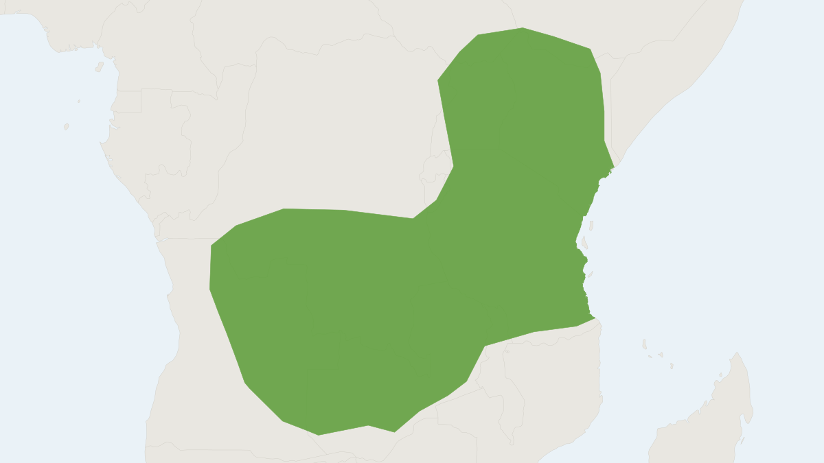 Range map of the African Black Shrew (Crocidura nigrofusca)