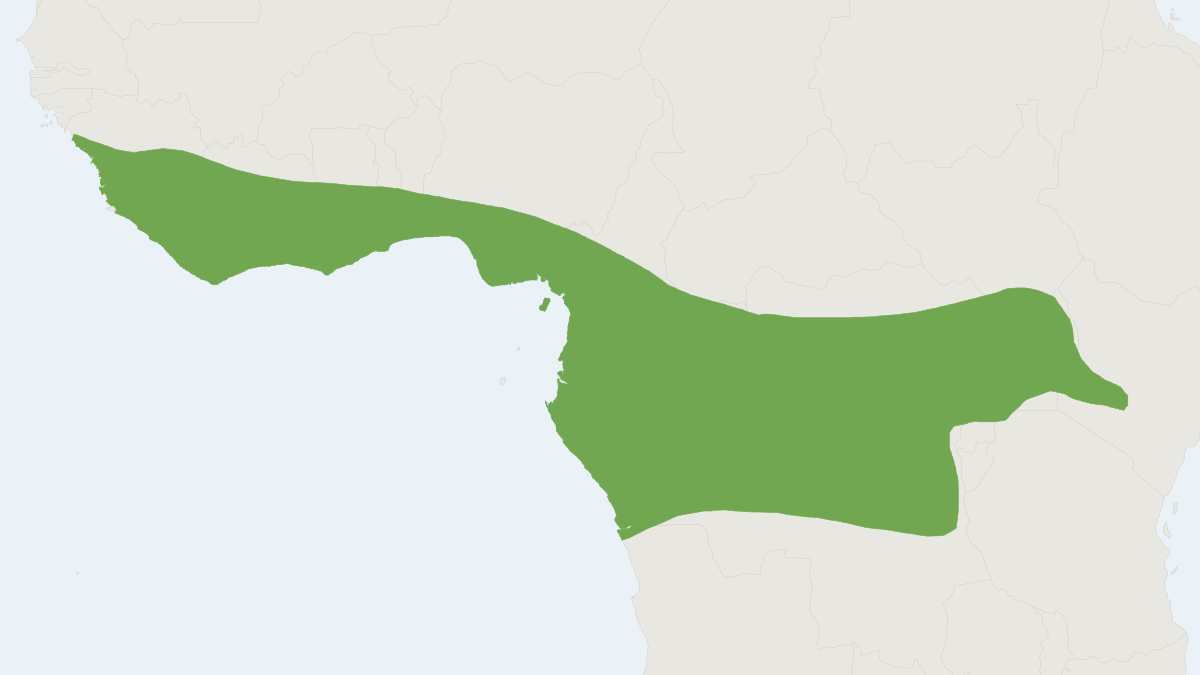 Range map of the African Brush-tailed Porcupine (Atherurus africanus) covering Cameroon, Central African Republic and Democra