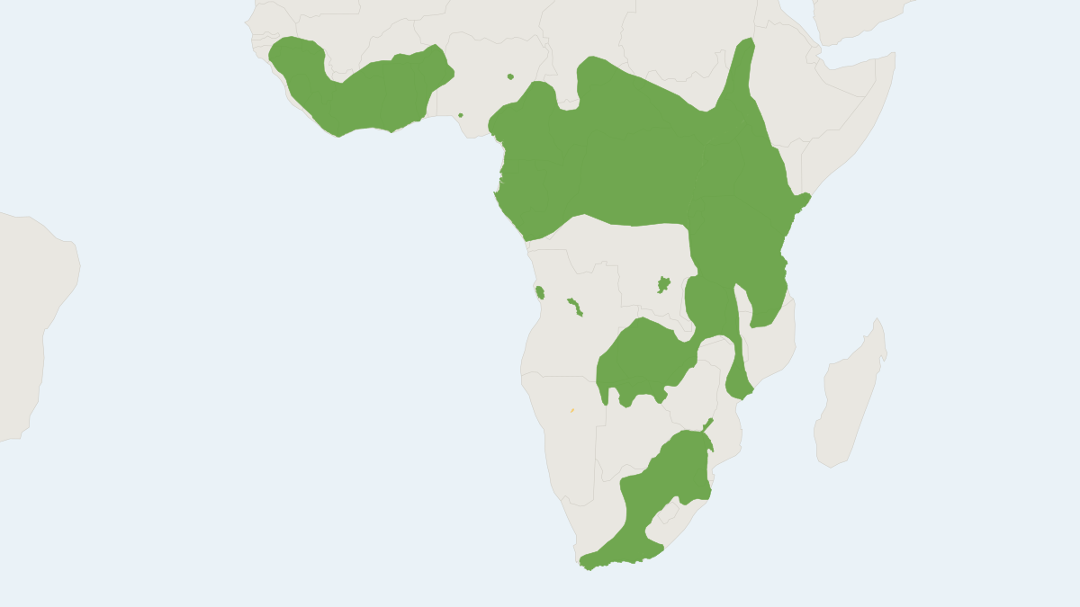 Range map of the African Buffalo (Syncerus caffer) covering Botswana, Cameroon and Democratic Republic of the Congo
