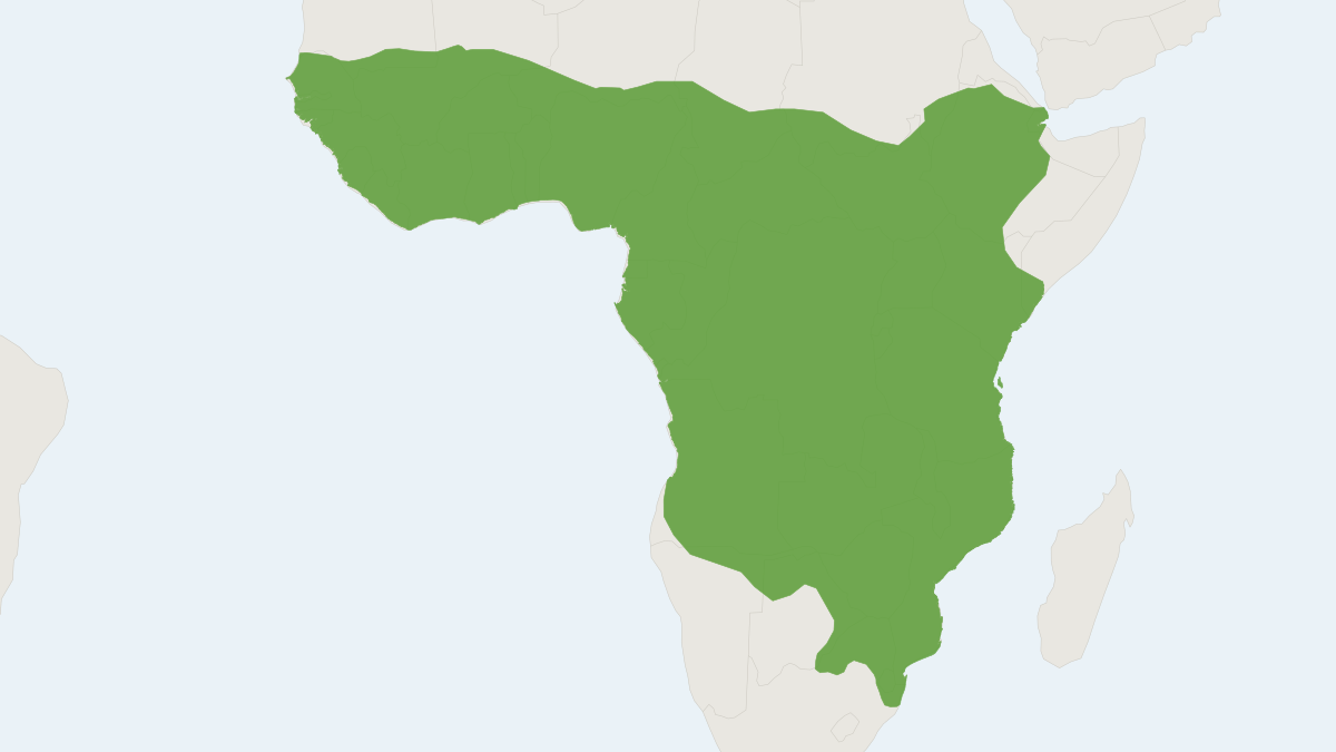 Range map of the African Civet (Civettictis civetta)