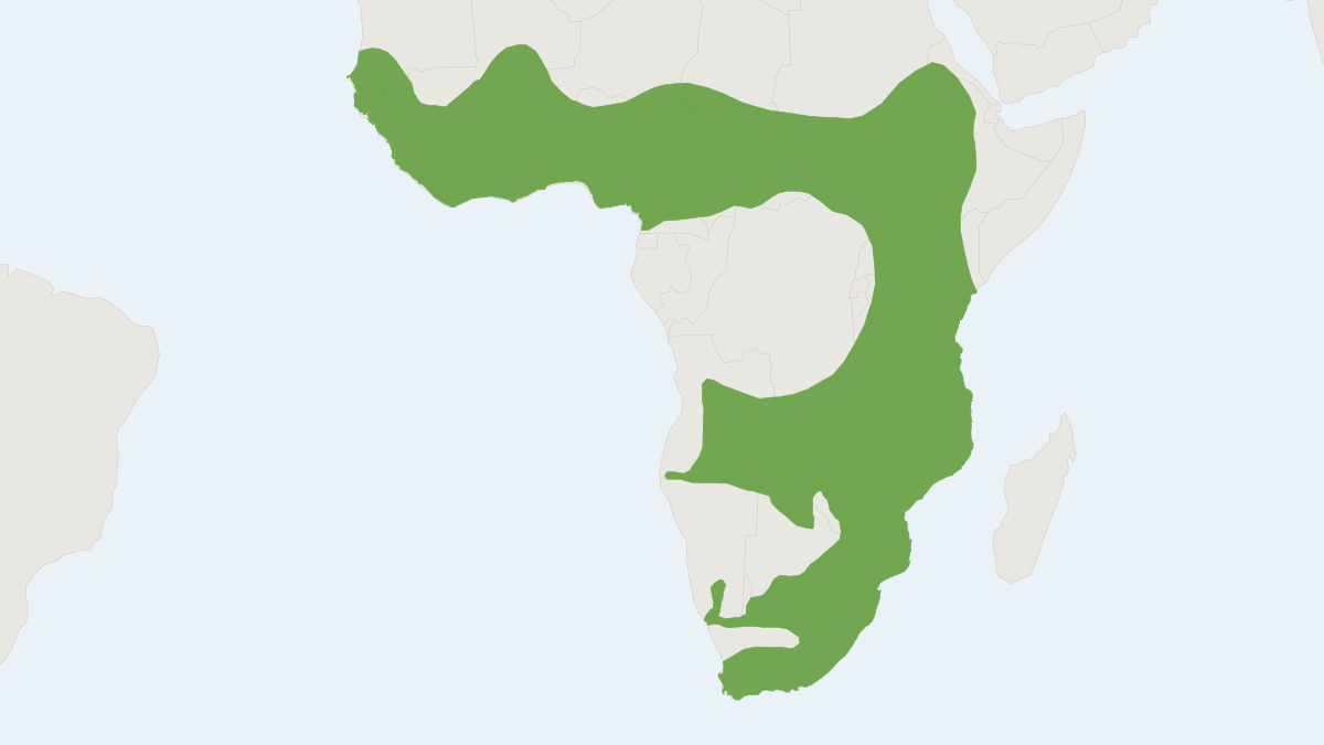 Range map of the African Clawless Otter (Aonyx capensis) covering Botswana, Cameroon and Democratic Republic of the Congo