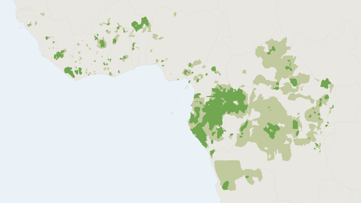 Range map of the African Forest Elephant (Loxodonta cyclotis) covering Cameroon, Central African Republic and Democratic Repu