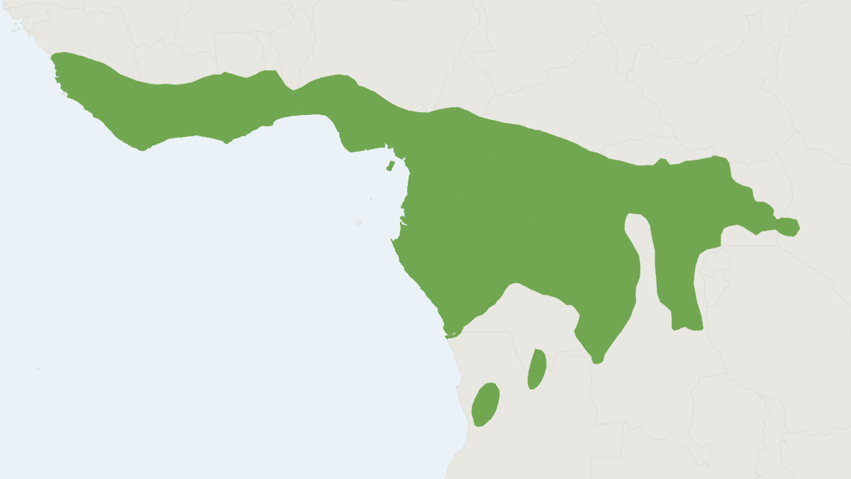 Range map of the African Giant Squirrel (Protoxerus stangeri)