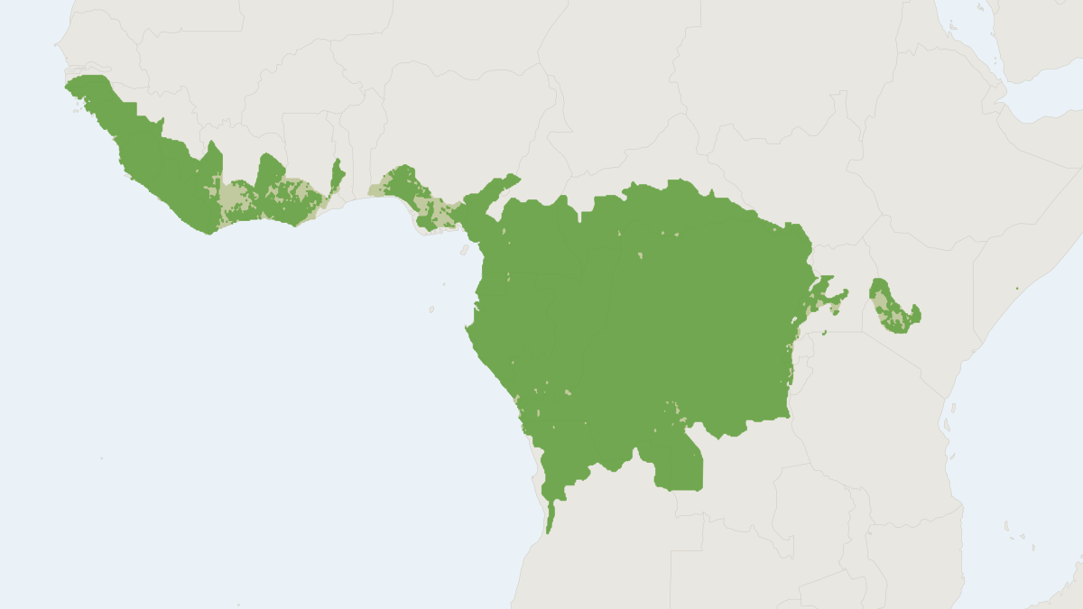 Range map of the African Golden Cat (Caracal aurata)