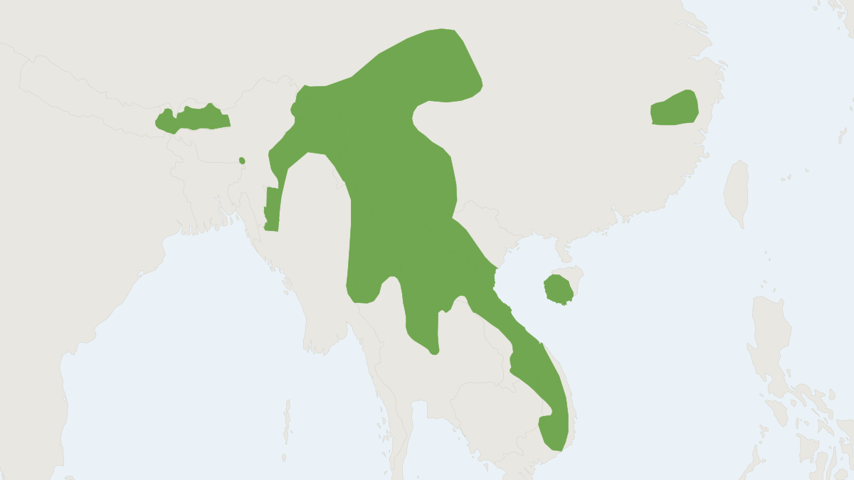 Range map of the African Linsang (Hylopetes alboniger)