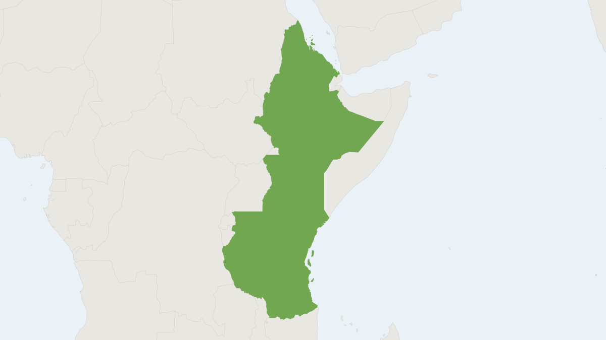 Range map of the African Long-fingered Bat (Miniopterus africanus)