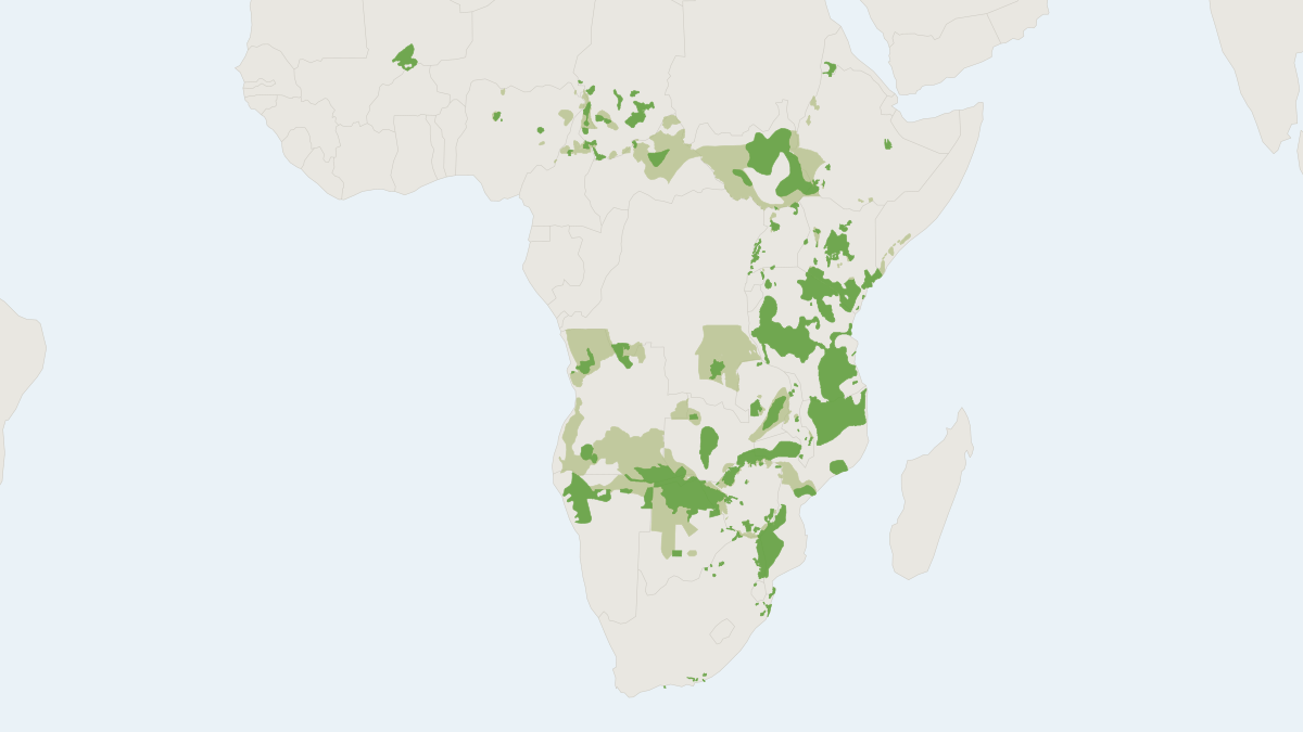 Range map of the African Savanna Elephant (Loxodonta africana) covering Botswana, Kenya and Mozambique