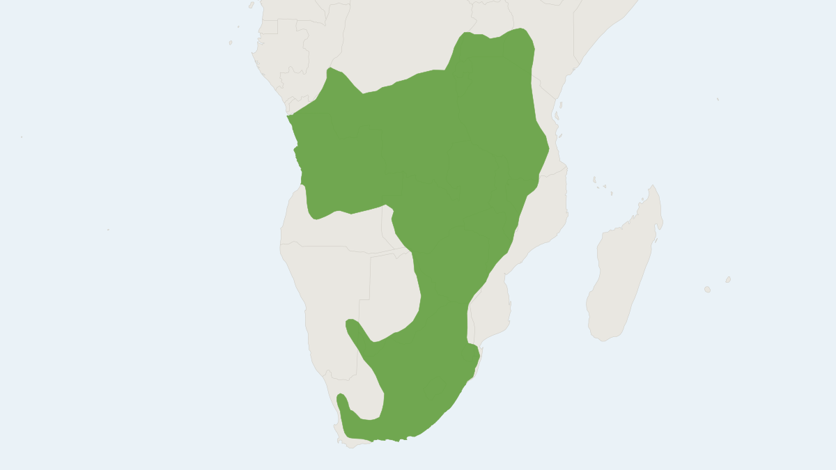 Range map of the African Striped Weasel (Poecilogale albinucha)