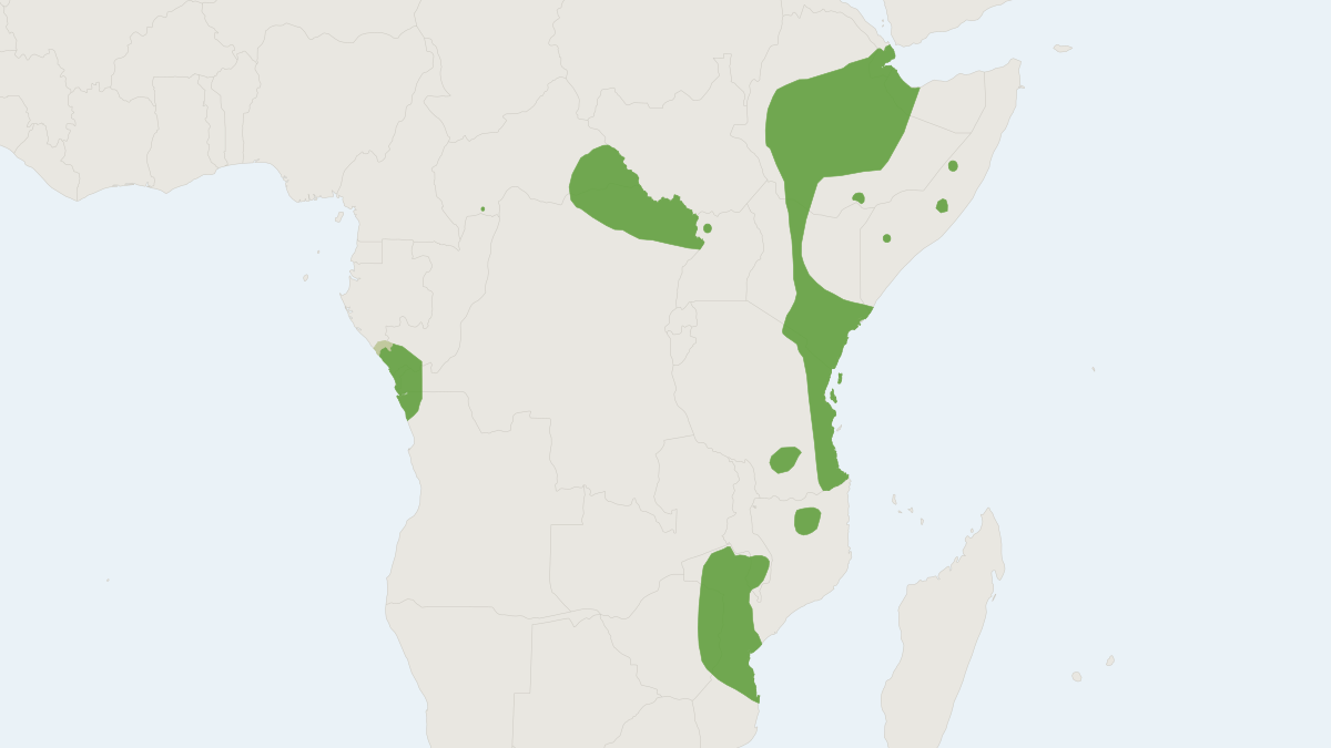 Range map of the African Trident Bat (Triaenops afer)