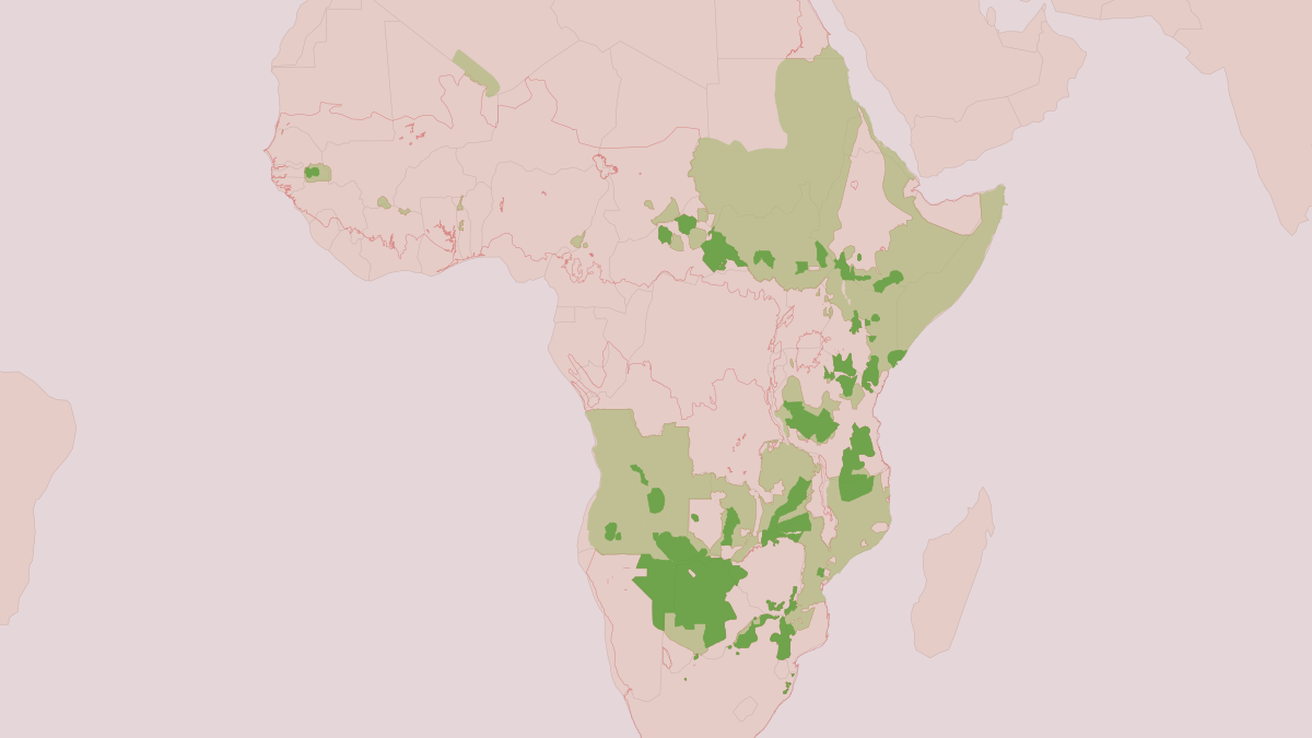 Range map of the African Wild Dog (Lycaon pictus) covering Botswana, Kenya and Mozambique