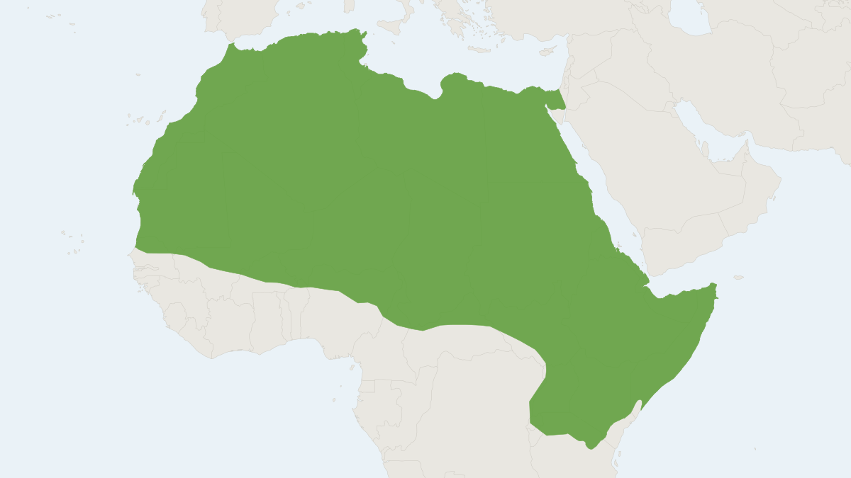 Range map of the African Wolf (Canis lupaster)