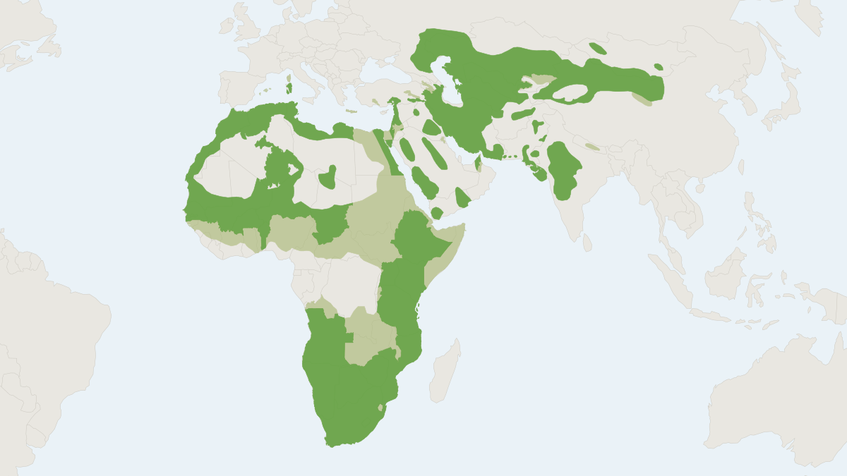Range map of the Afro-Asiatic Wildcat (Felis lybica)