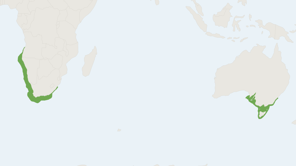 Range map of the Afro-Australian Fur Seal (Arctocephalus pusillus) covering Australia, Namibia and South Africa
