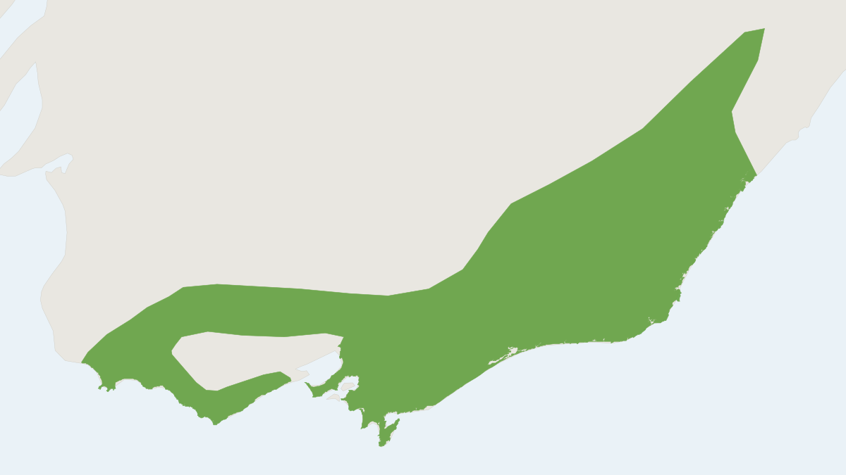 Range map of the Agile Antechinus (Antechinus agilis) covering Australia and United Kingdom