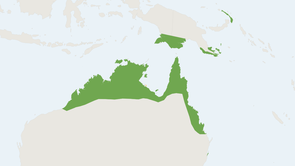 Range map of the Agile Wallaby (Notamacropus agilis)