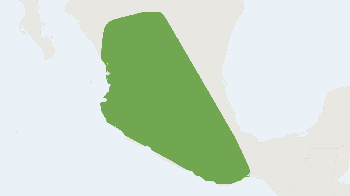Range map of the Allen's Cotton Rat (Sigmodon alleni)