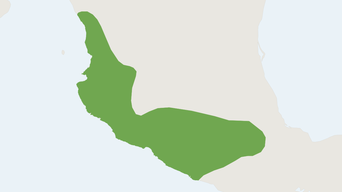 Range map of the Allen's Wood Rat (Hodomys alleni)