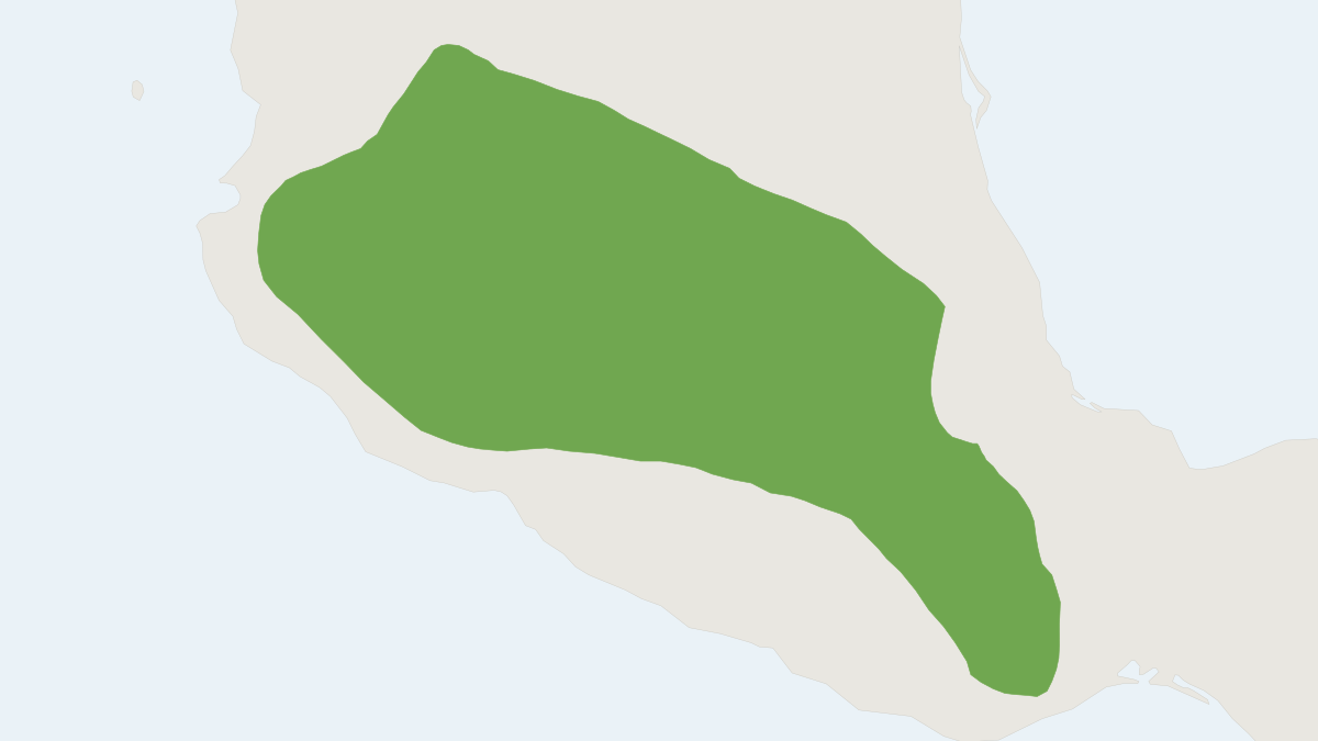 Range map of the Allen's Yellow Bat (Baeodon alleni)