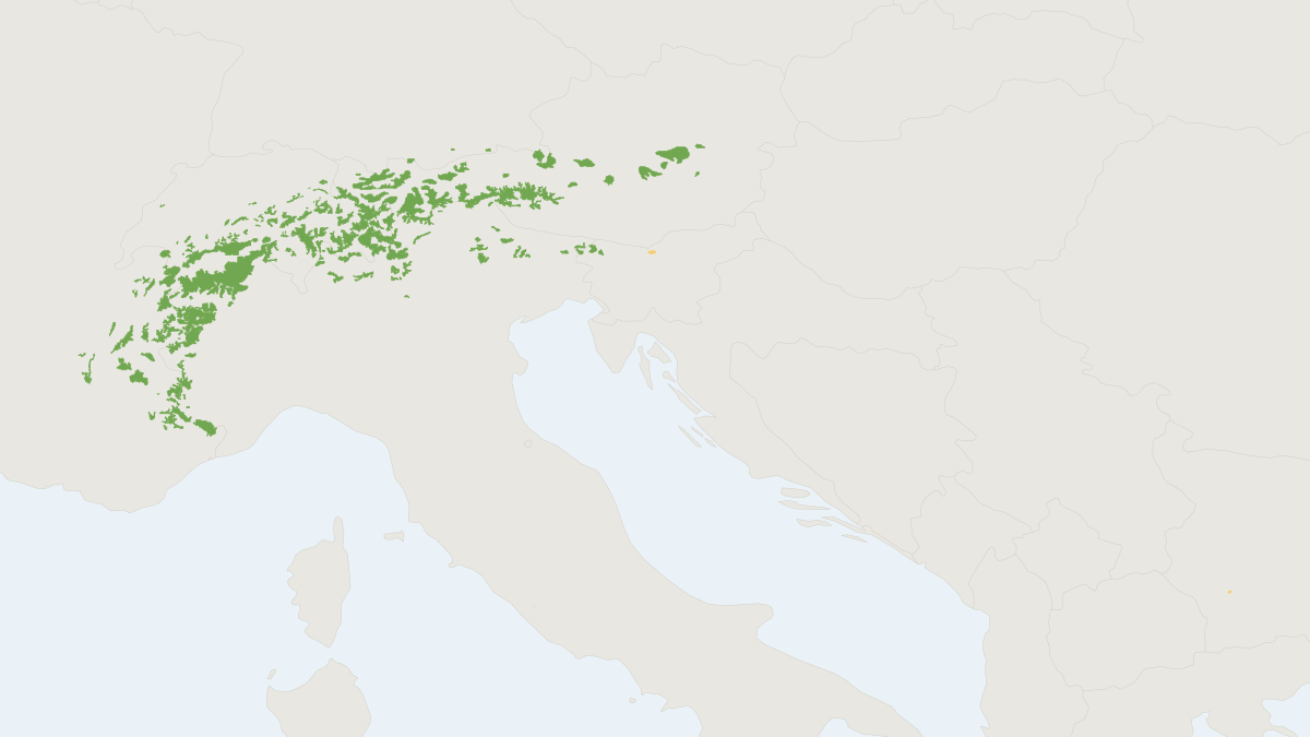 Range map of the Alpine Ibex (Capra ibex) covering Austria, France and Germany