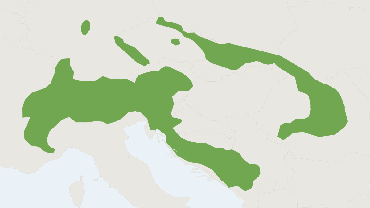 Range map of the Alpine Shrew (Sorex alpinus)