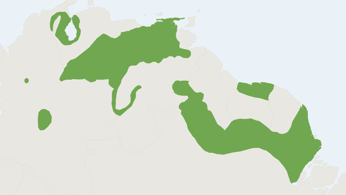 Range map of the Alston's Cotton Rat (Sigmodon alstoni)