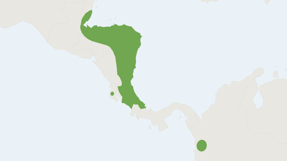 Range map of the Alston's Woolly Mouse Opossum (Marmosa alstoni)