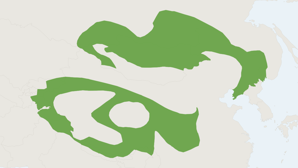 Range map of the Altai Weasel (Mustela altaica)