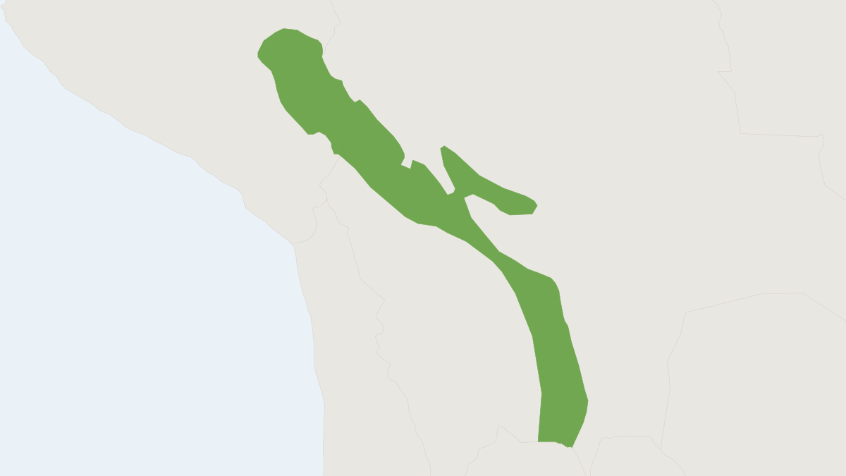 Range map of the Altiplano Grass Mouse (Akodon lutescens) covering Argentina, Bolivia and Peru