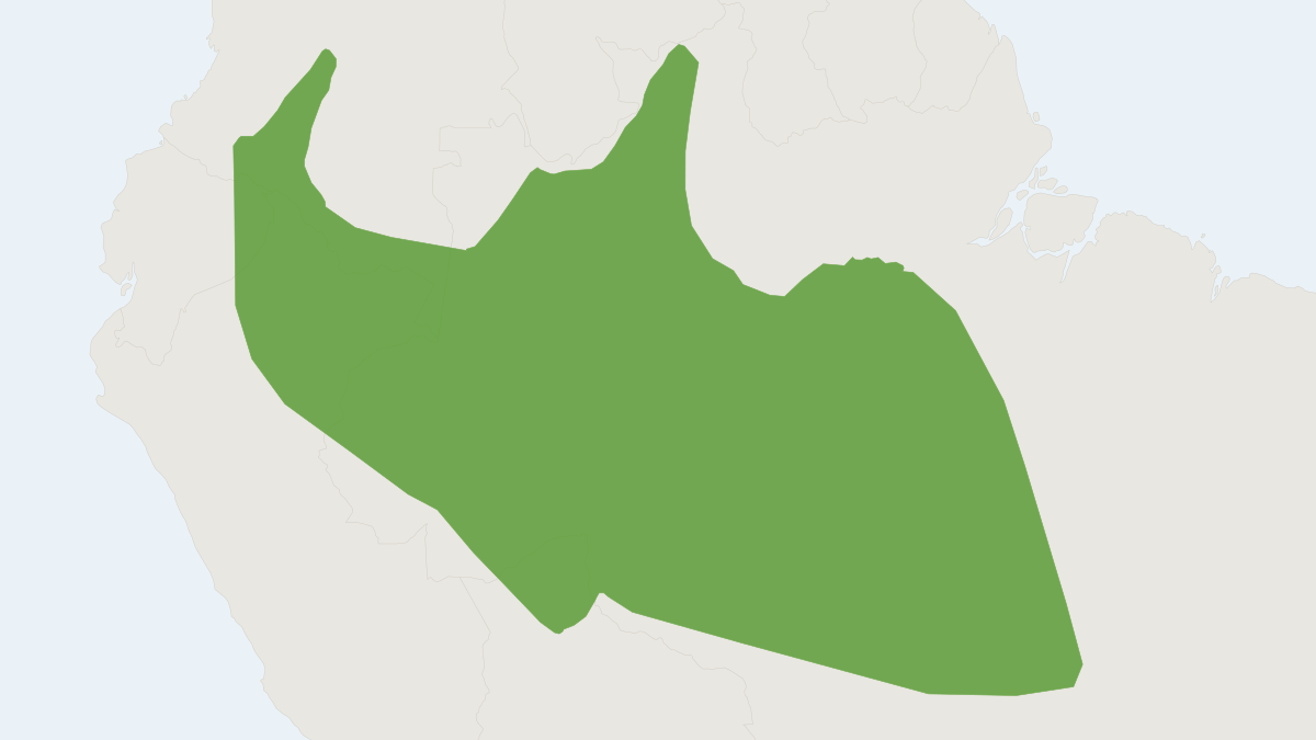 Range map of the Amazon Bamboo Rat (Dactylomys dactylinus)