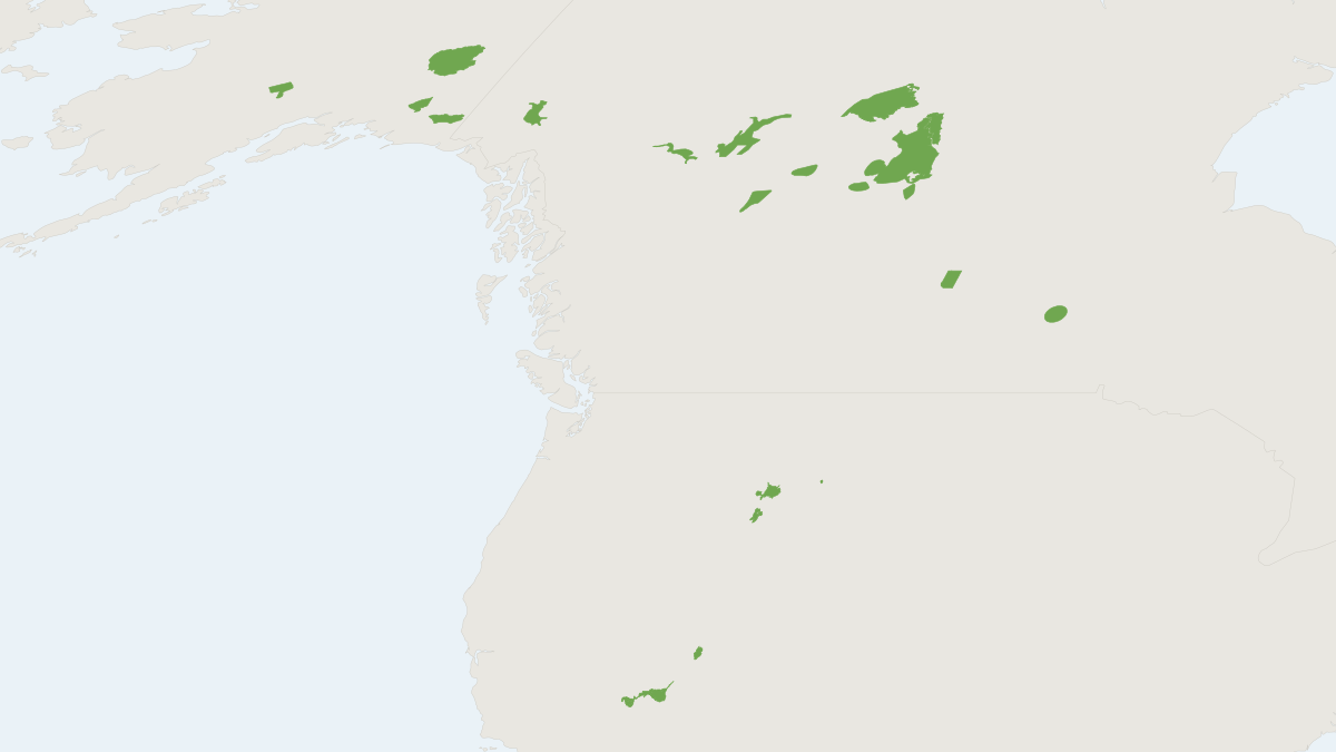 Range map of the American Bison (Bison bison) covering Canada, Mexico and United States