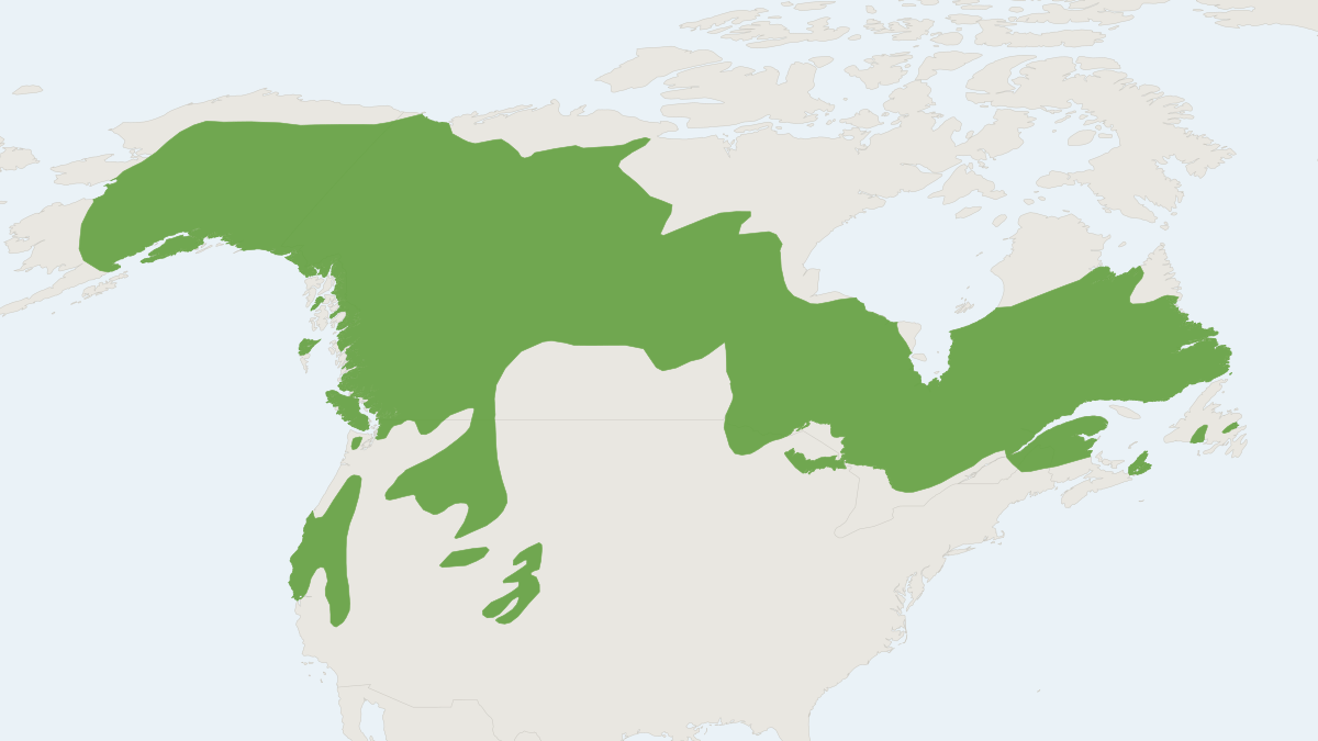 Range map of the American Marten (Martes americana)