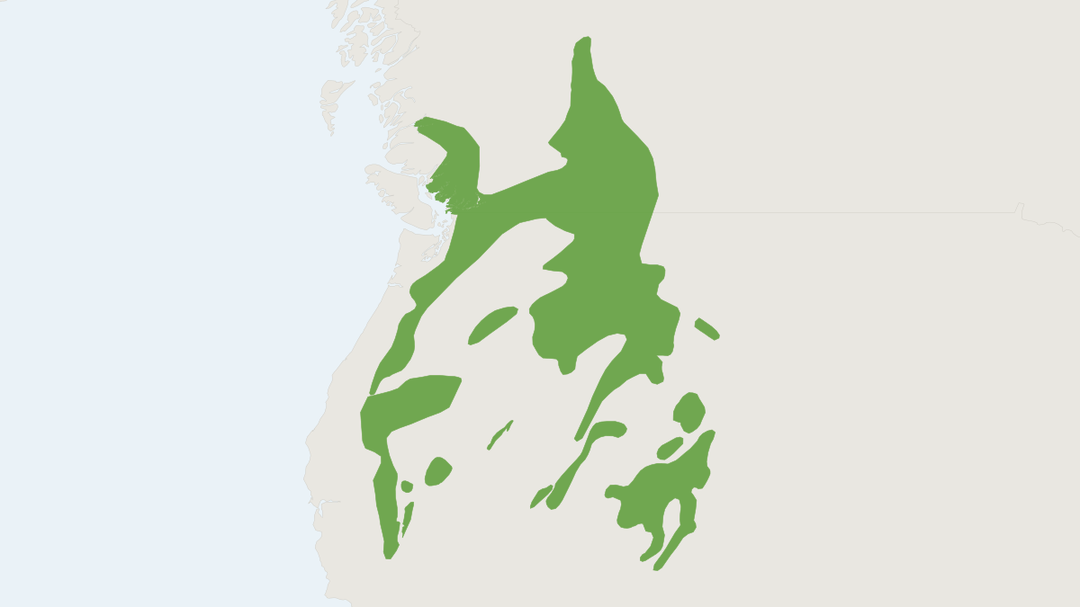 Range map of the American Pika (Ochotona princeps) covering Canada, Mexico and United States