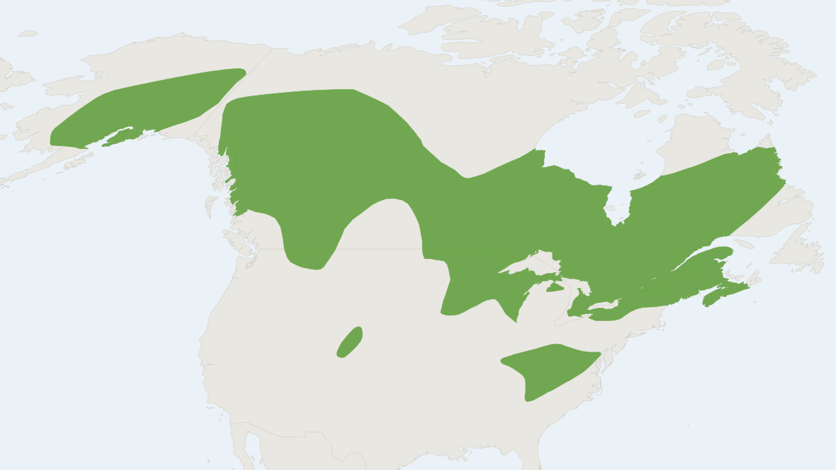 Range map of the American Pygmy Shrew (Sorex hoyi)