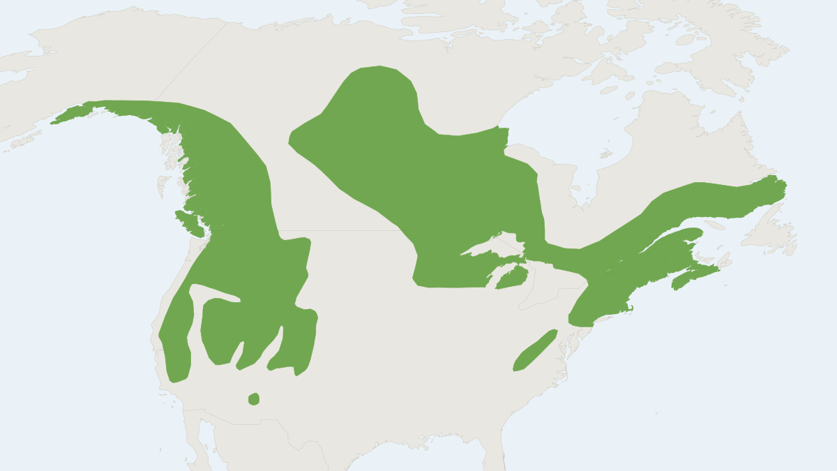 Range map of the American Water Shrew (Sorex palustris)