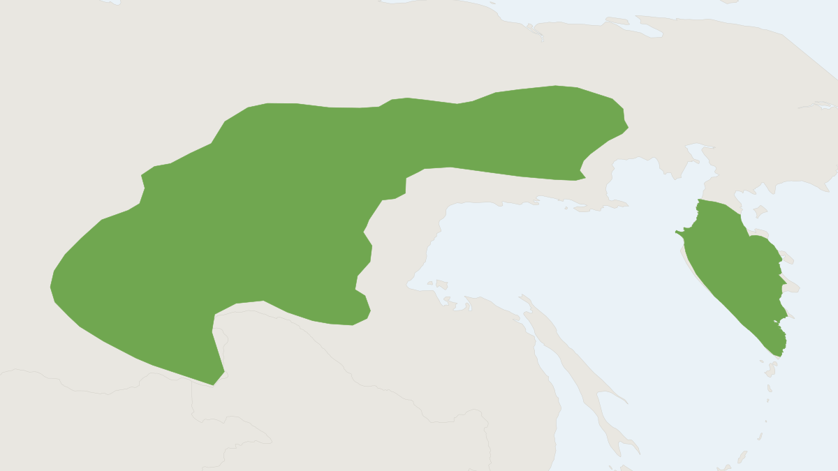 Range map of the Amur Lemming (Lemmus amurensis)