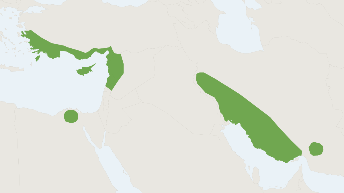 Range map of the Anatolian Serotine (Cnephaeus anatolicus)