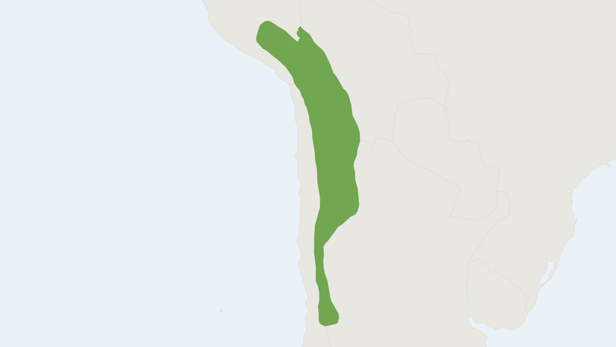 Range map of the Andean Akodont (Abrothrix andinus) covering Argentina, Bolivia and Chile