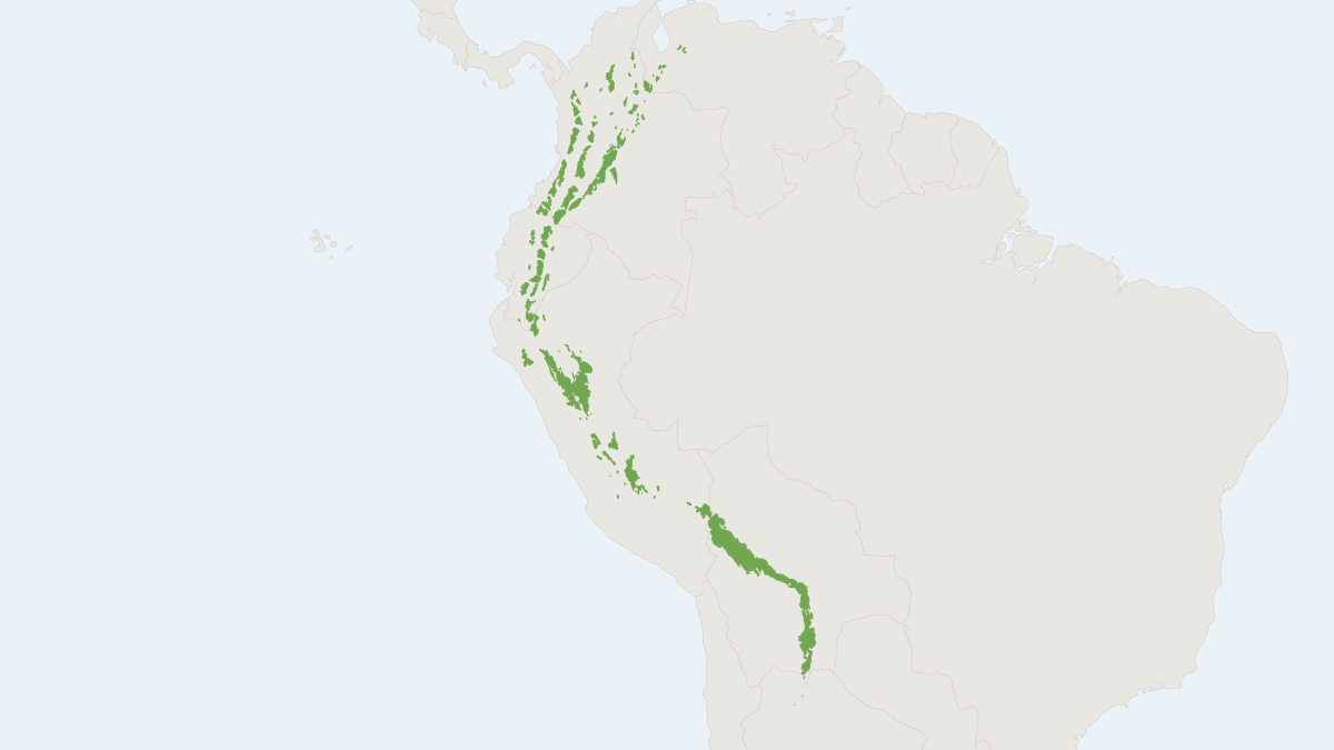 Range map of the Andean Bear (Tremarctos ornatus) covering Argentina, Bolivia and Colombia