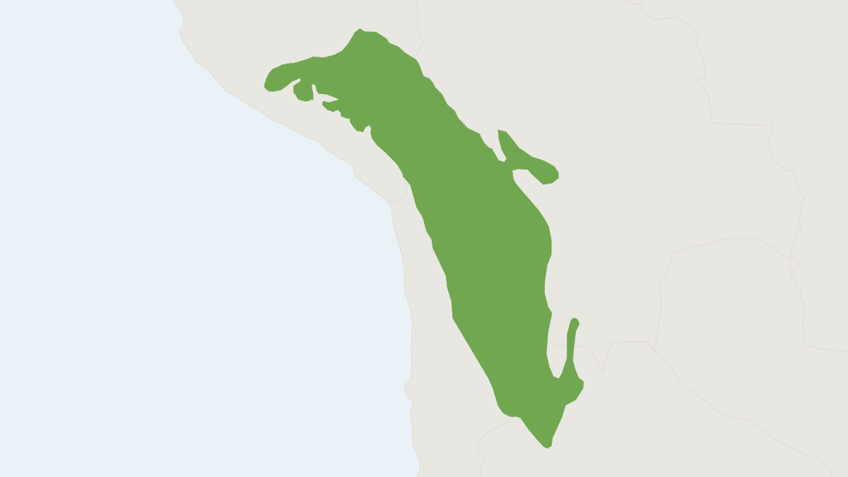 Range map of the Andean Big-eared Mouse (Auliscomys sublimis) covering Argentina, Bolivia and Chile