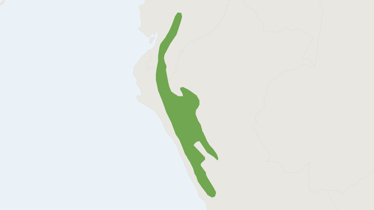 Range map of the Andean Leaf-eared Mouse (Phyllotis andium)