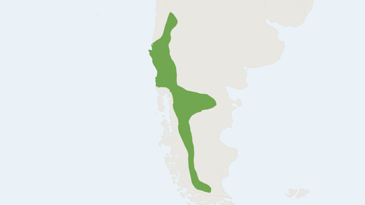 Range map of the Andean Long-clawed Mouse (Chelemys macronyx) covering Argentina and Chile