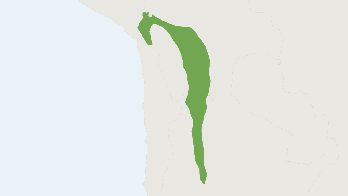 Range map of the Andean Mouse (Andinomys edax) covering Argentina, Bolivia and Chile