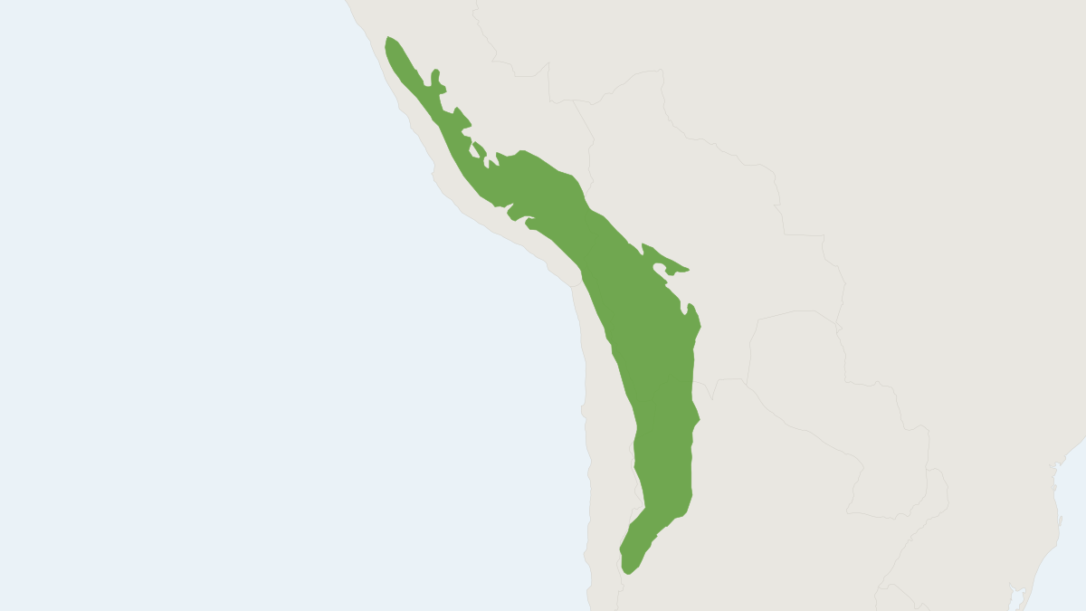 Range map of the Andean Swamp Rat (Neotomys ebriosus)